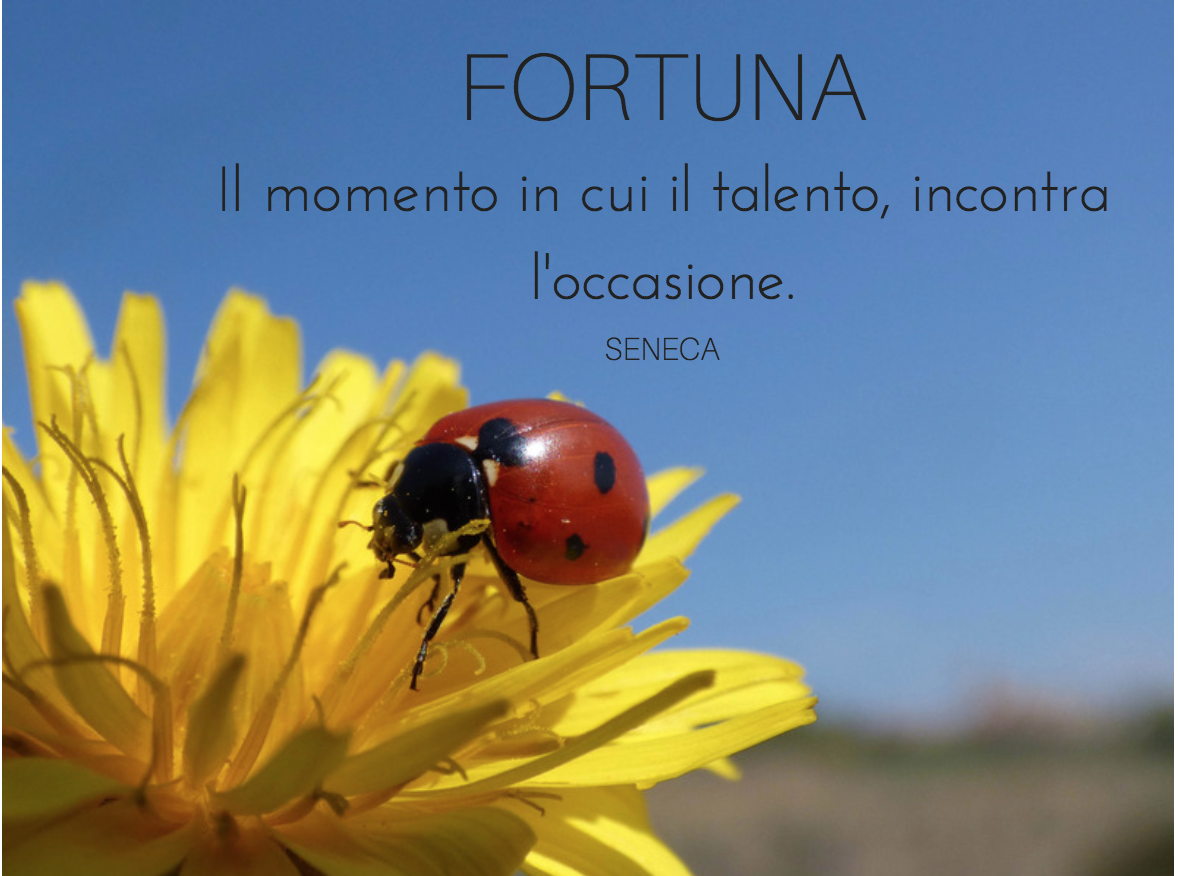 Condividi la Coccinella Porta Fortuna!!!!!!